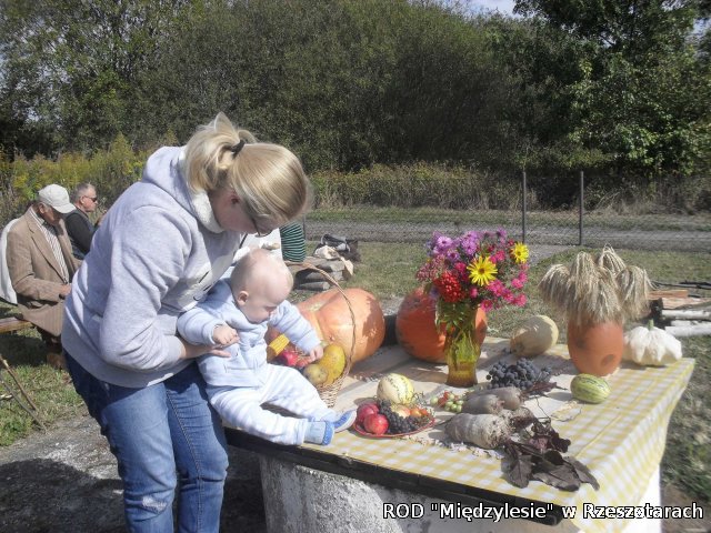 Dożynki działkowe 26.09.2015