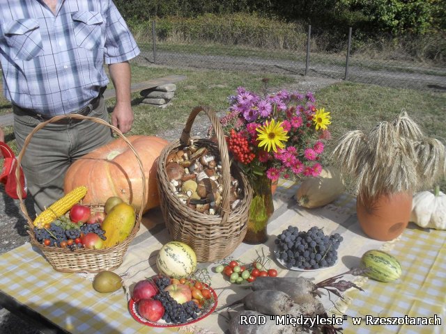 Dożynki działkowe 26.09.2015